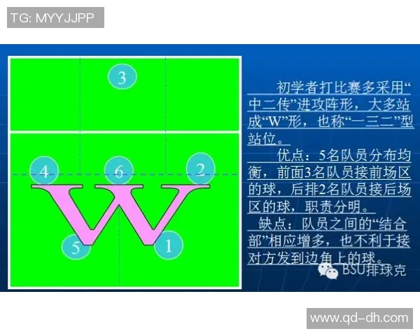 南京羽毛球队整体压制打法深度解析与战术优势剖析