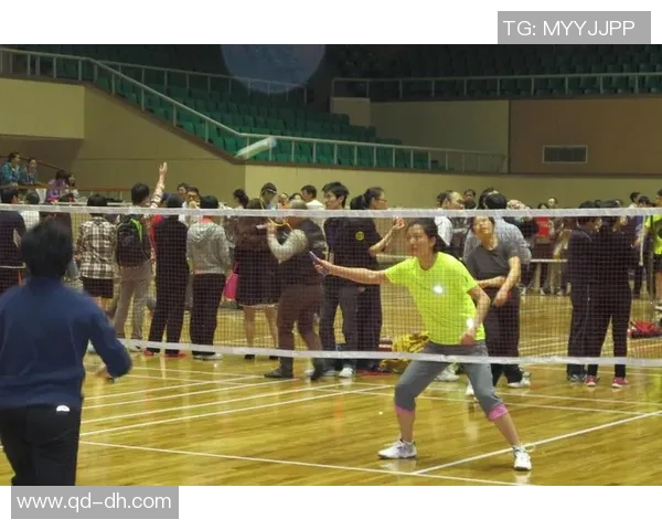 南京羽毛球队实力深度解析与其他队伍的对比分析 南京羽毛球队实力深度解析与其他队伍的对比分析