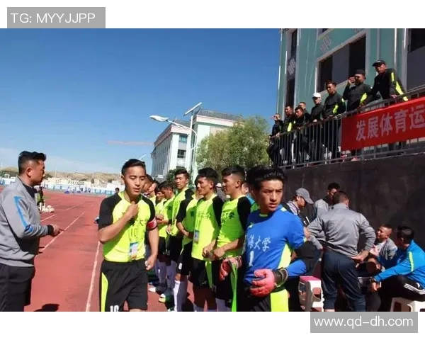 南京足球队运营分析:成败得失的深度探讨与未来展望 南京足球队运营分析:成败得失的深度探讨与未来展望