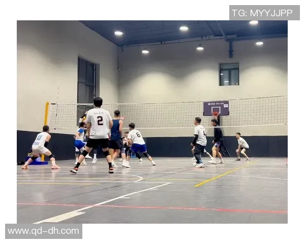 成都排球队中路突破的秘密与技巧深度解析