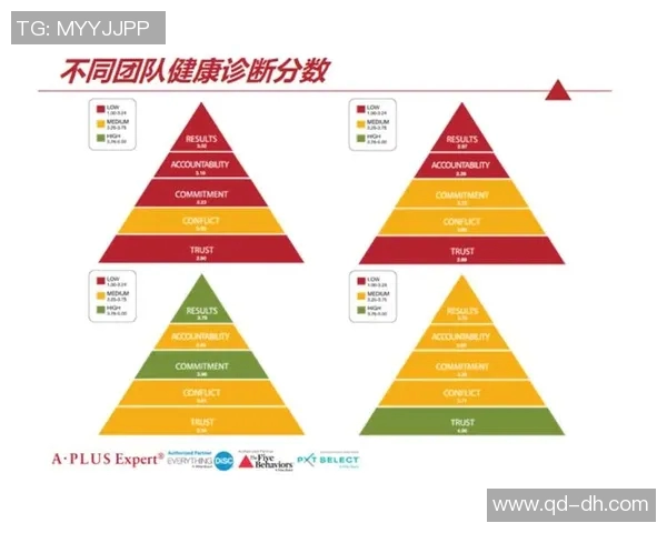 成都羽毛球队夺冠最新团队协作榜单前十强全解析