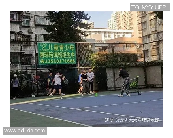 深圳与北京网球队对决后的深度分析与经验总结