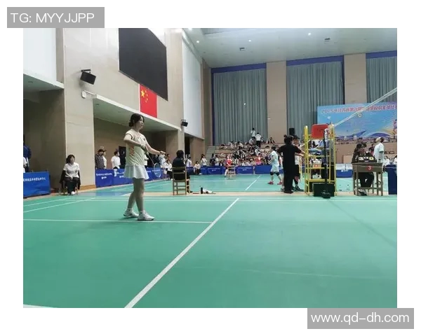 深圳羽毛球队与杭州羽毛球队赛后复盘力量对比分析与战术探讨