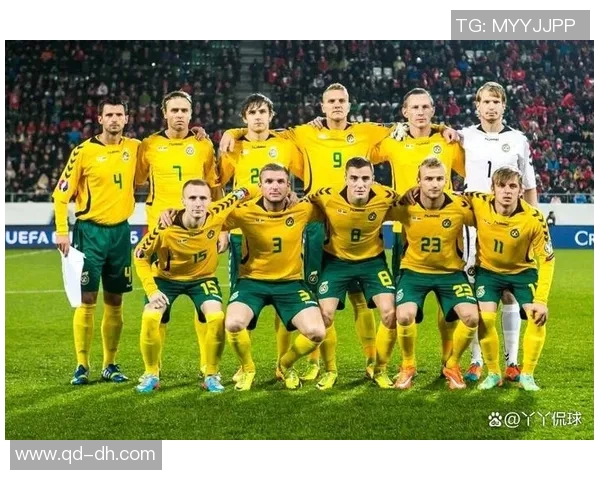 立陶宛足球明星的崛起与成就探讨 立陶宛足球明星的崛起与成就探讨